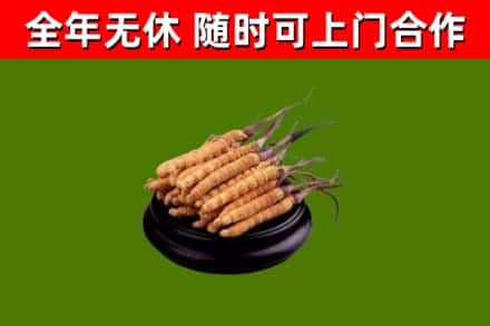 新县烟酒回收冬虫夏草.jpg